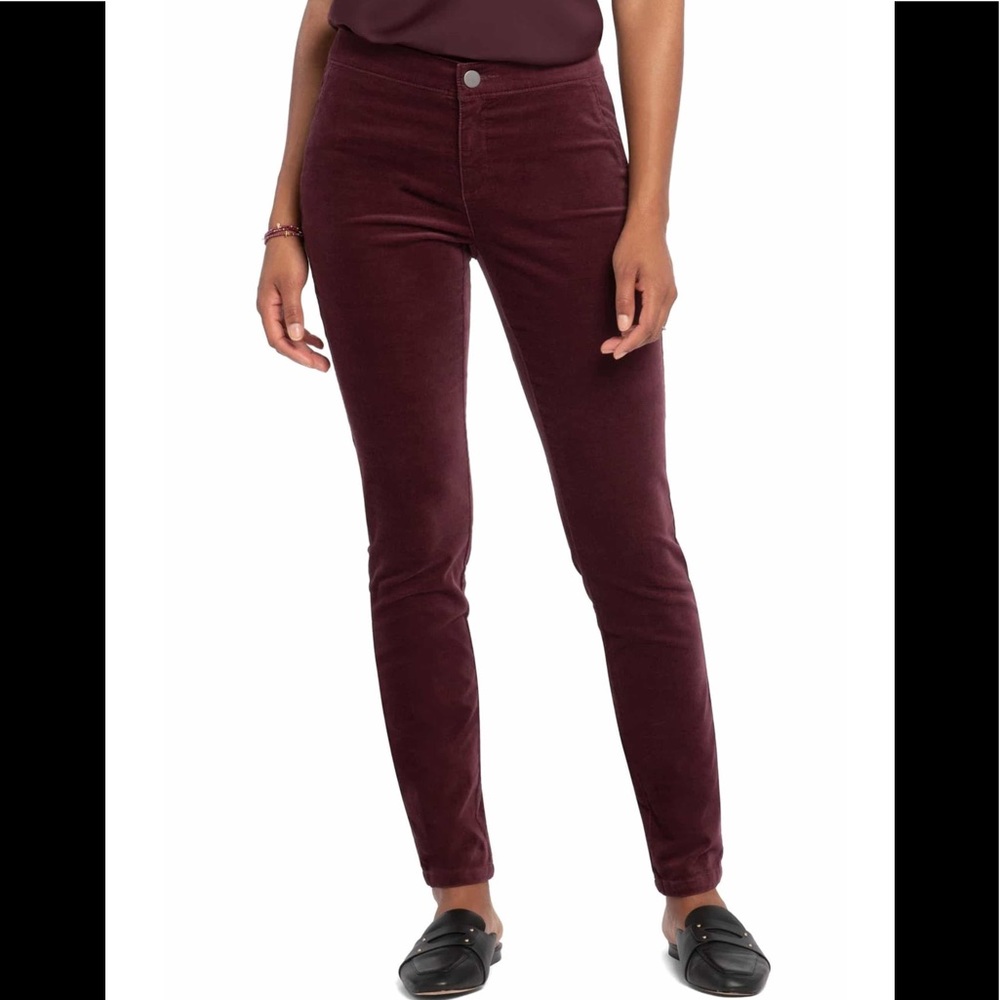 Stretch velvet skinny pants NWT